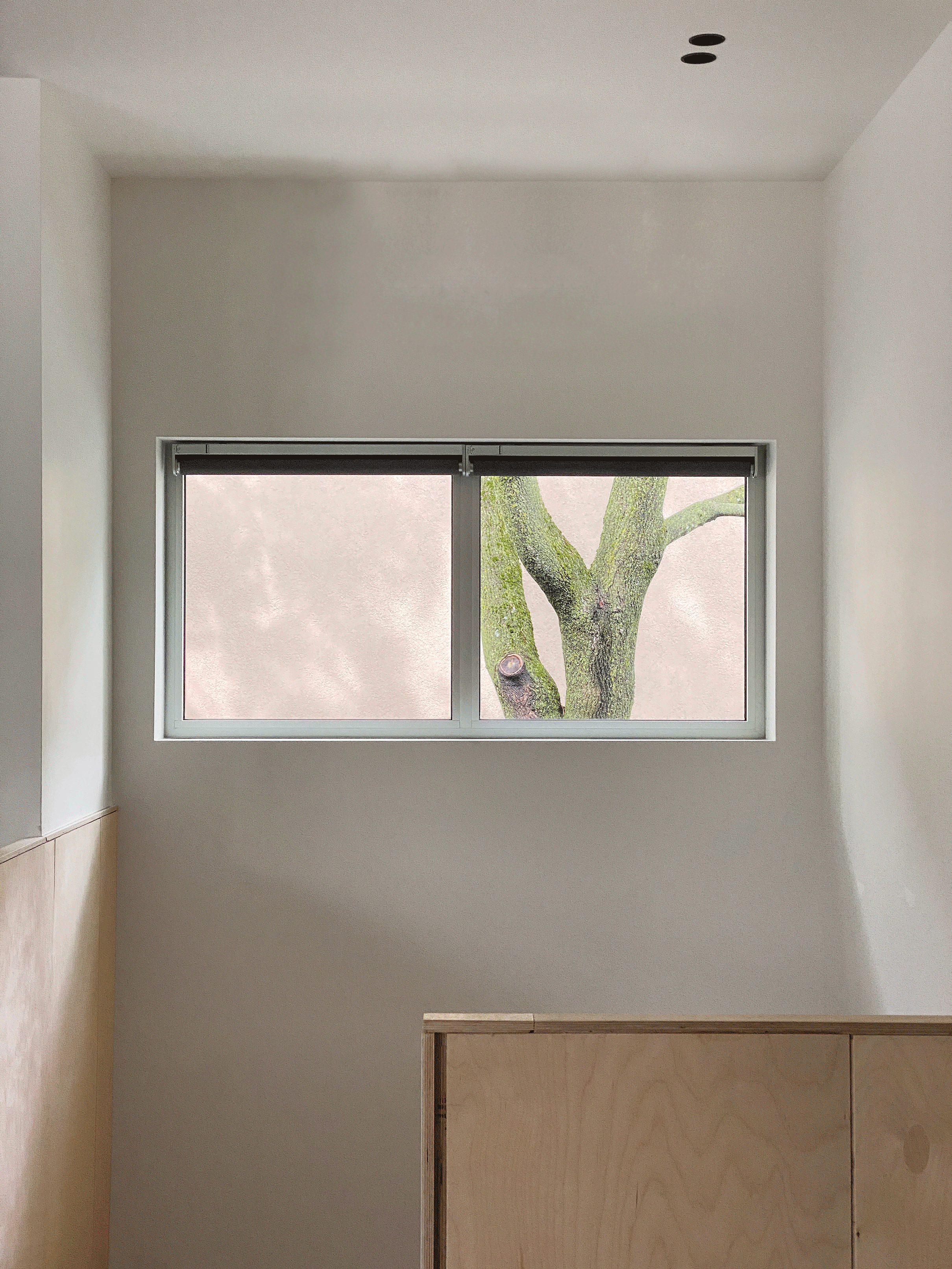 Fenêtre bandeau — découpe horizontale qui tient l'intimité tout en laissant filer la vue sur le ciel et les arbres