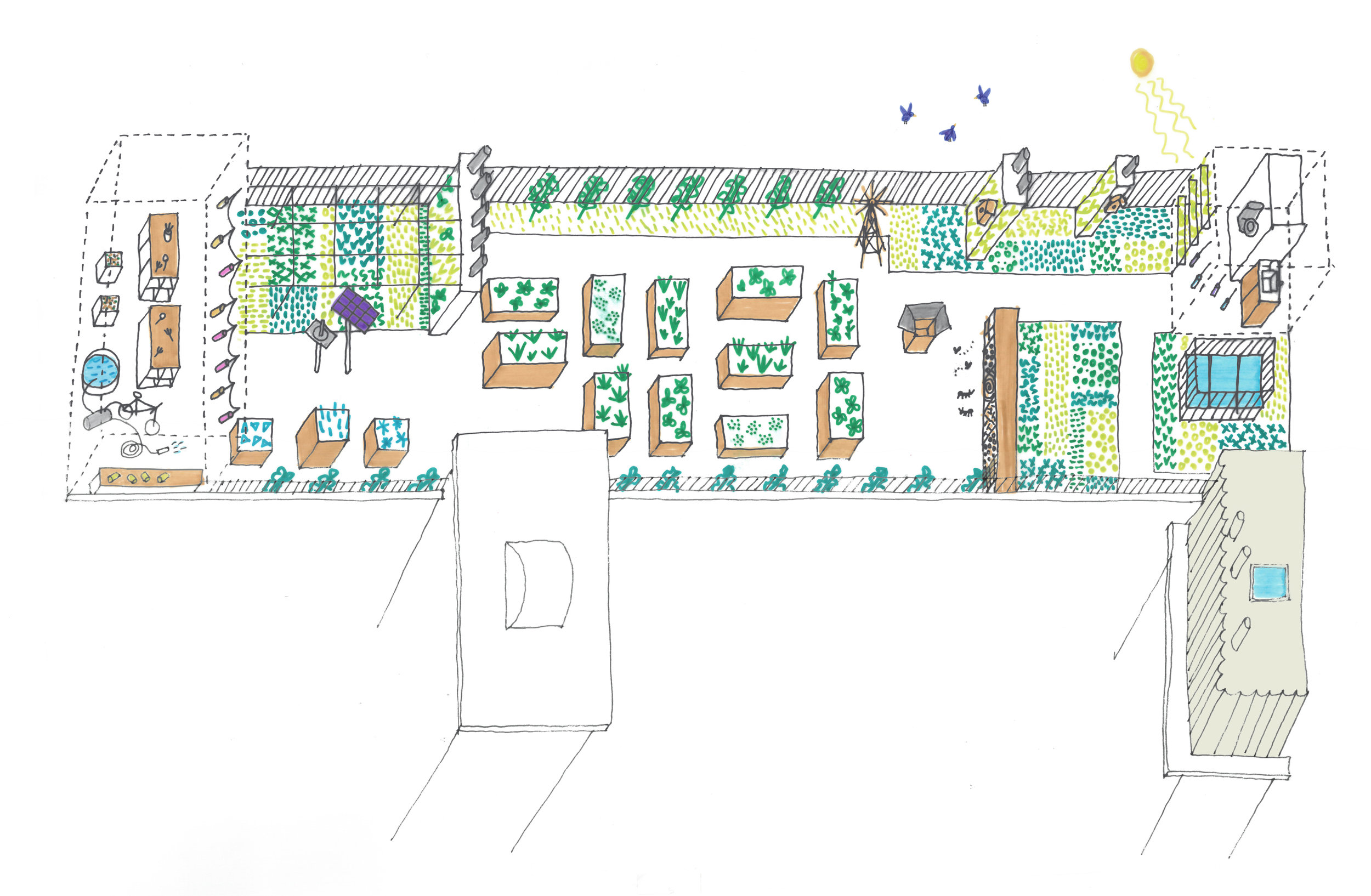 Schéma du jardin potager — bacs partagés organisant l'usage maraîcher pédagogique sur la toiture