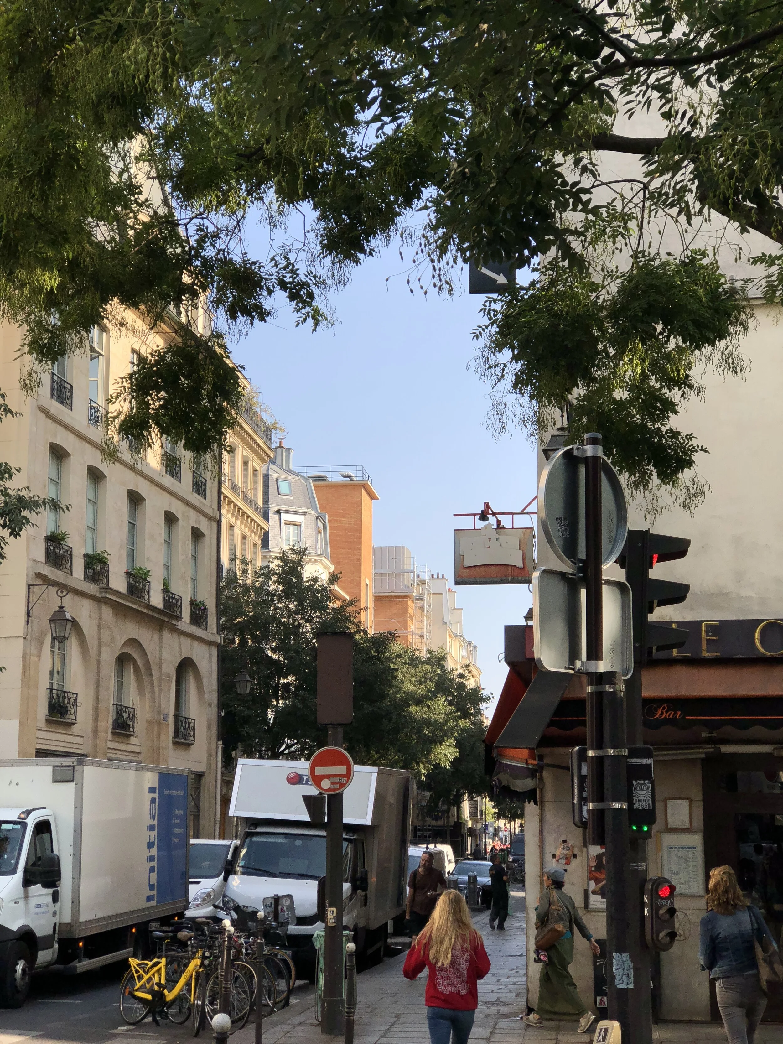 Terrasse végétalisée — école Saint-Martin — École Saint-Martin, Paris 3e